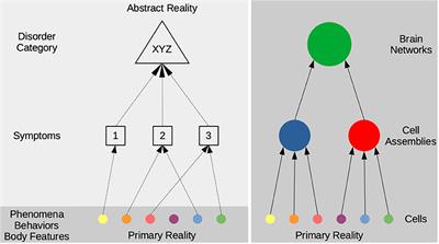 Why mental disorders are brain disorders. And why they are not: ADHD and the challenges of heterogeneity and reification